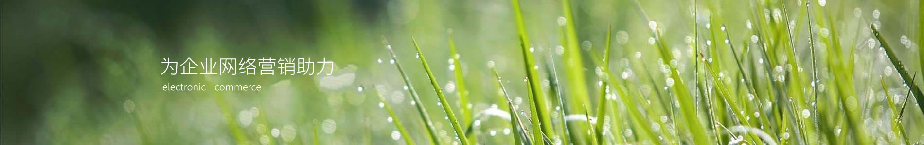 ϺܵӿƼ޹˾
